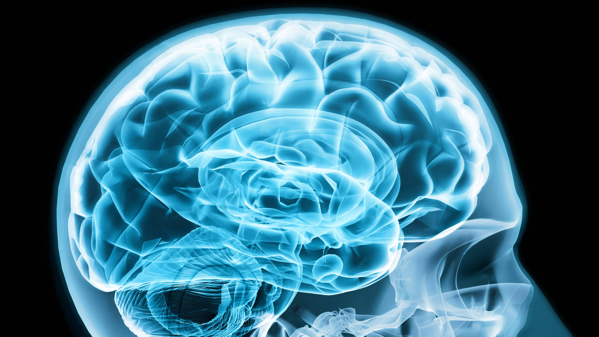 Neuroventas: cómo conectar con el cliente desde la emoción,&nbsp;plataforma para call center,&nbsp;agente de call center medellin.